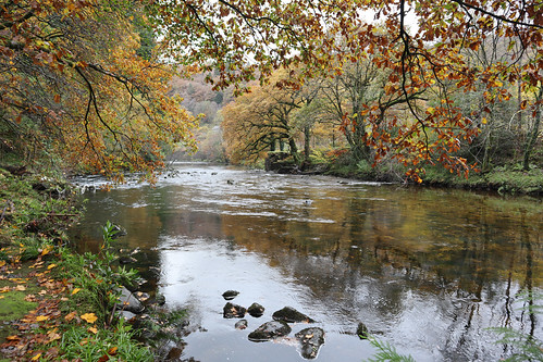 Afon Mawddach at Ganllwyd