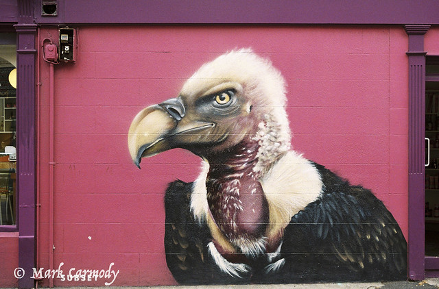 Subset's Vulture, Dublin