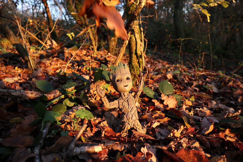 Hot Toys Life Size Baby Groot - *At the German North Coast* (1 Nov 2022) - Page 2 51673476060_fdec2db6bc_b