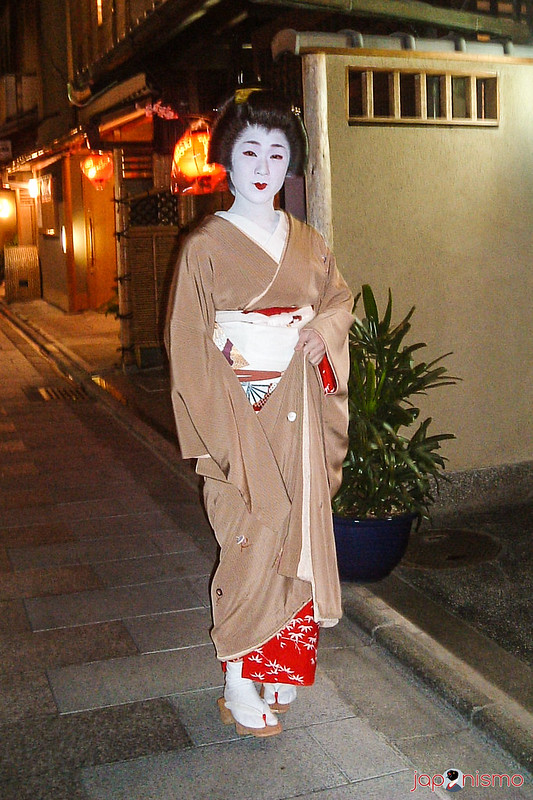 Geisha Yachiho con un kimono de patrones sobrios