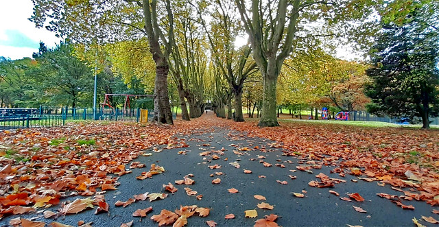 Autumn in Aston Park