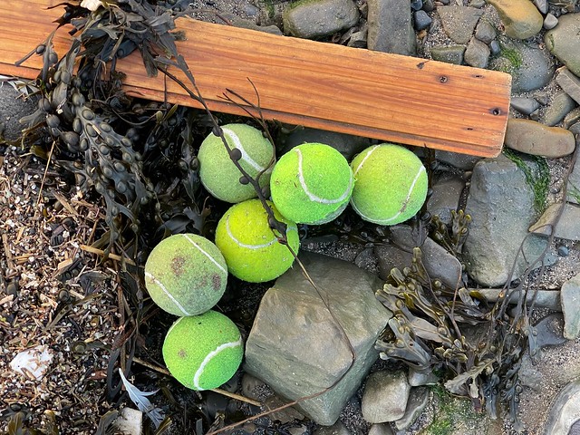 We brought one tennis ball and found these five.