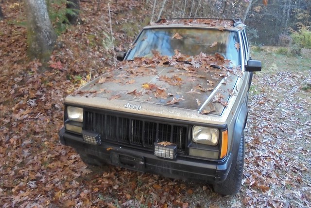 Covered in Fall_Jeep_s
