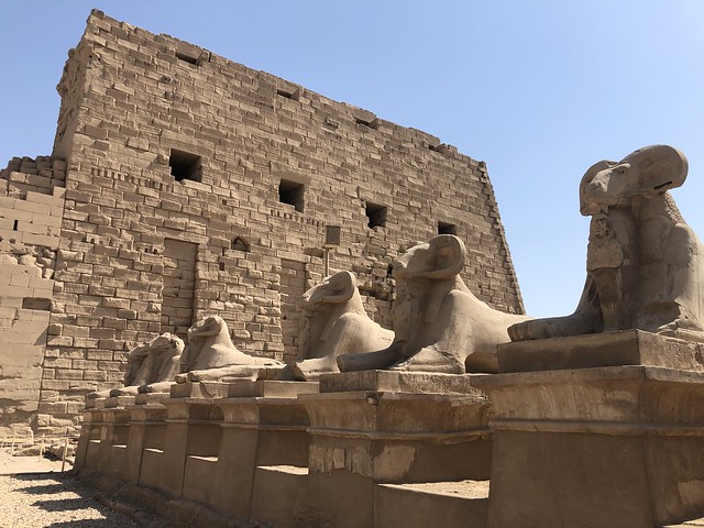 Esfinges a la entrada del conjunto de templos de Karnak (Qué visitar en Luxor)