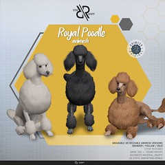 [Rezz Room] Royal Poodle Adult Animesh (Companion)