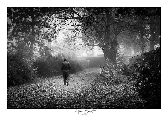 Dans la brume ,le promeneur solitaire