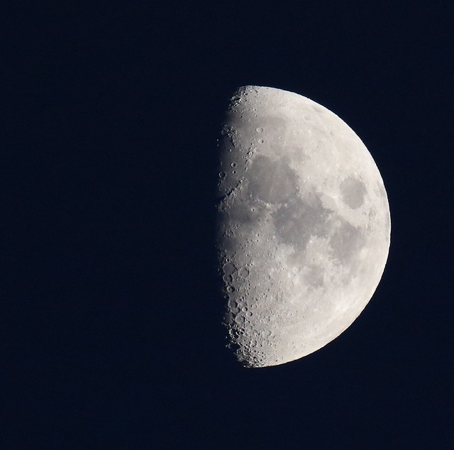 Waxing Moon over Weybourne Garden