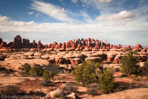 Rock formations near Chesler Park, Needles District, Canyonlands National Park, Utah