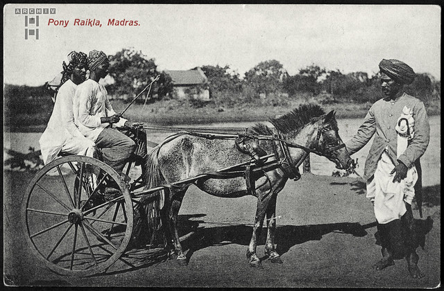 ArchivTappen25(5A)461 Pony Rikscha, Madras, Indien, 1920er
