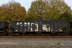 Loaded Hopper - Odd Graff