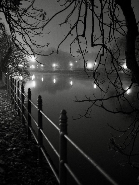 Foggy November night