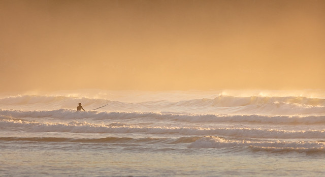 Sunset Surfer 2