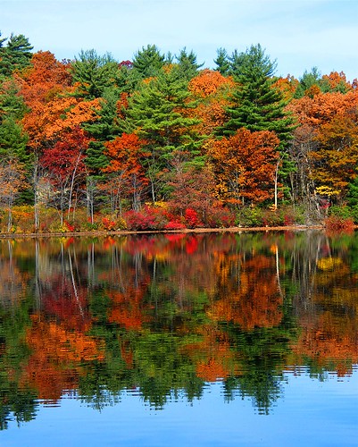 Sterling Lake Autumn
