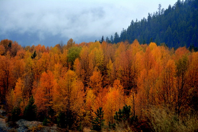Autumn in Tulameen,  BC.