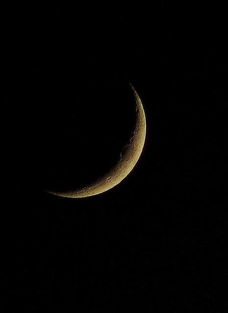 Moon from 29/12/2019 visibility 8%
