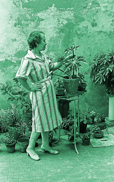 Fernanda and her plants - two