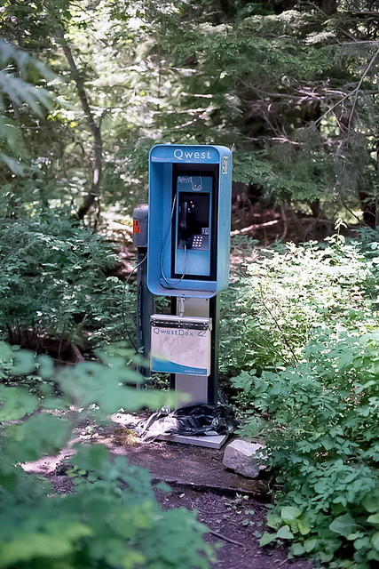 Forest Phone