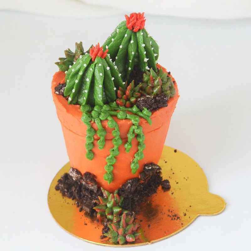 Terracotta Pot Cake by Girl That Cakes