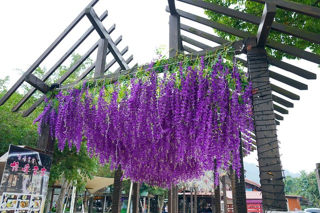 紫見石岡浪漫花漾園區