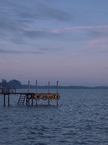 argentina buenosaires chascomus naturaleza nature muelle sunrise amanecer lagoon laguna dock