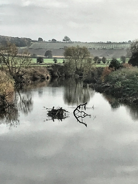 Autumn on the River Don.