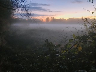 autumn-mist2