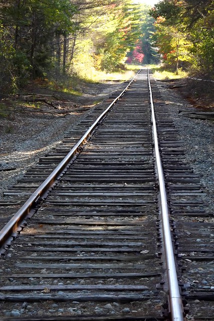 Train Tracks into Autumn