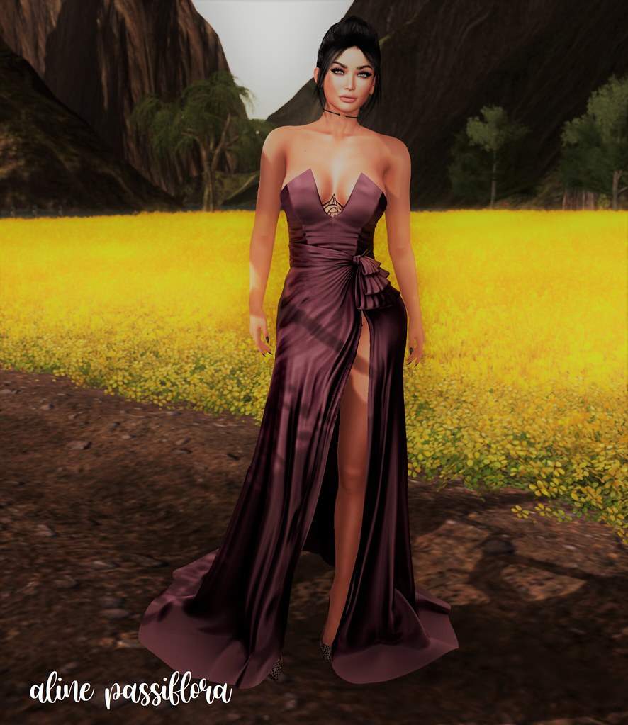 A Gown in a Field