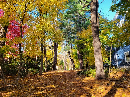 November trail