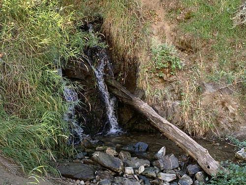 Parrish Creek
