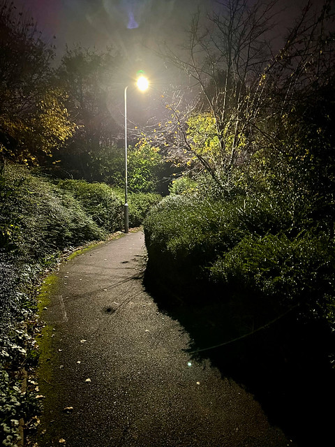 Lamp post on the path