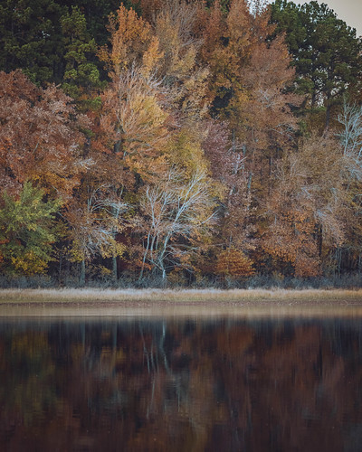 Autumn on Lake Maumelle. Pulaski County, Arkansas. 2021. by BradSimsPhoto, autumn foliage 2021 nikkor70200mm nature water naturalstate lake fall nikonz6ii lakemaumelle arkansa