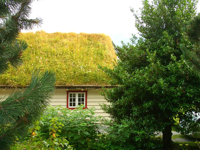 case di torba, Norvegia - turf house, Norway