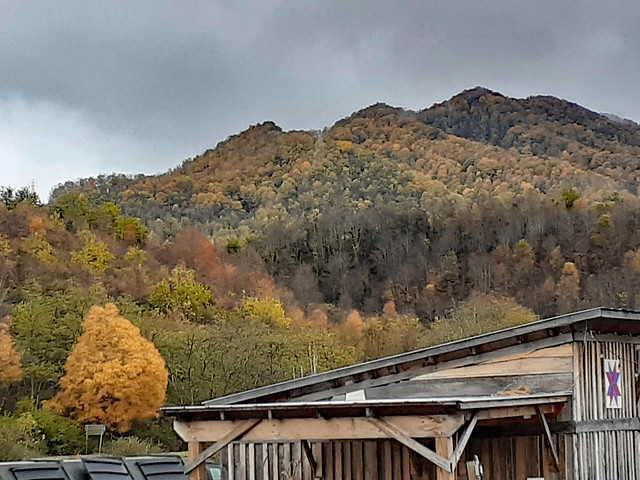Fall Foliage On The Mountain.