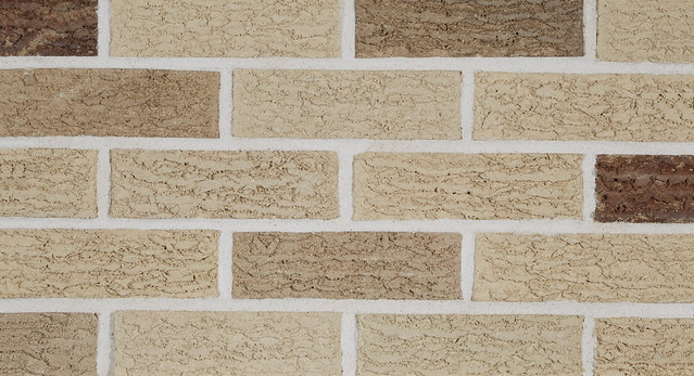 Silver Satin Bark | Gray Bricks