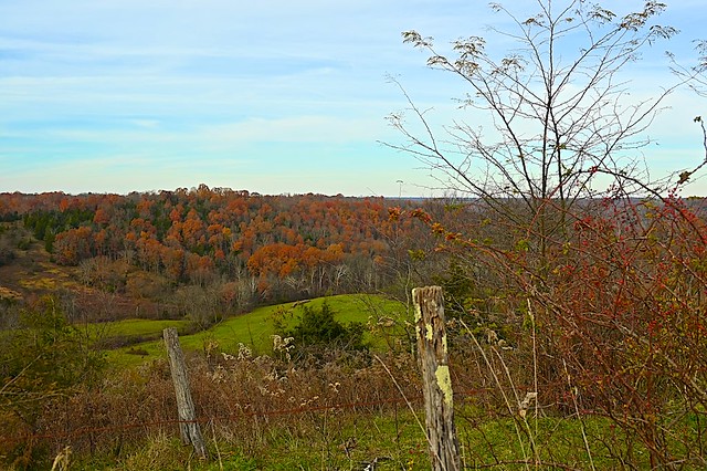 Fall Foliage in Rural Kentucky