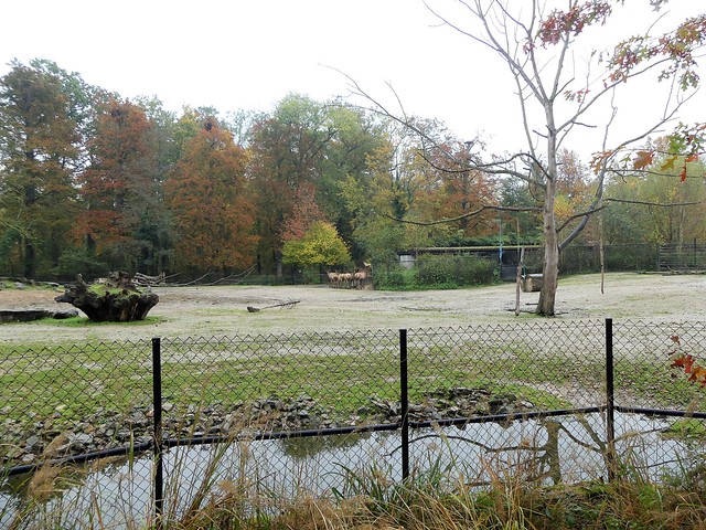 Zoo Planckendael