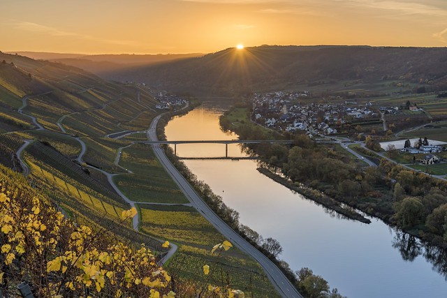 *Golden autumn morning over the Middle Moselle*