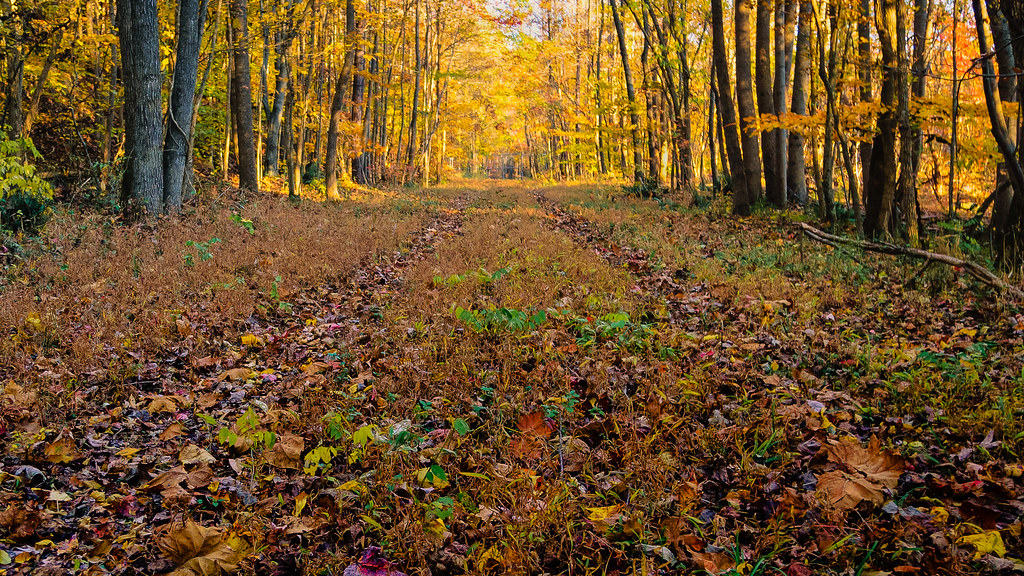 Summit Trail