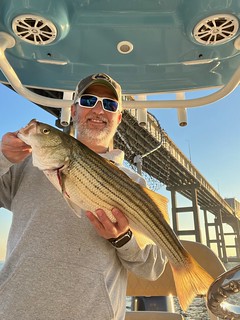 Photo of man on a boat, underneath a bridge, holding a striped bass