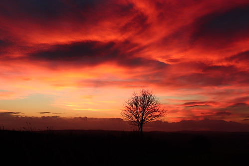 sky cloud sunset evening hill tree