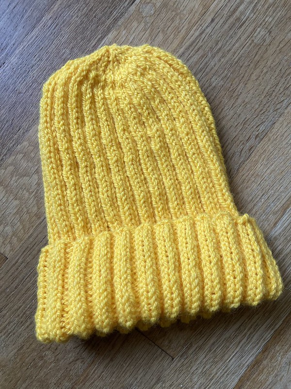 A Bevy of Knitted Hats:  Successes and Failures