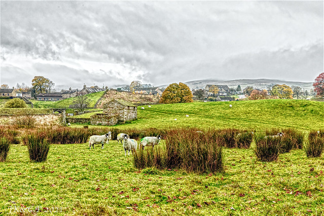 Sheep, a Barn and Hawes