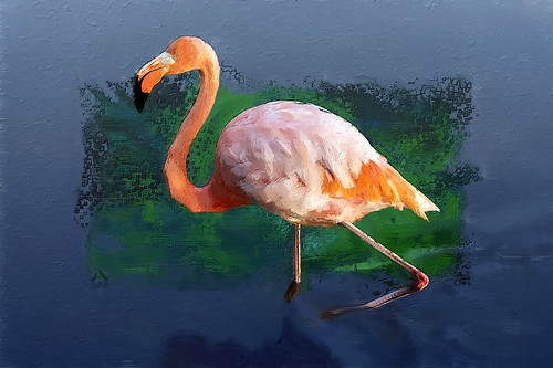 flamingo | by Art digital by SØS