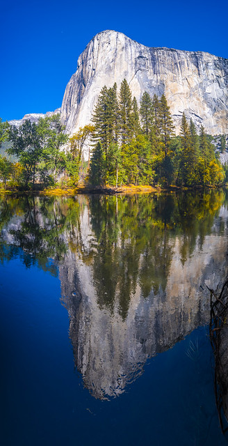 El Capitan Reflections Merced River Yosemite Autumn Colors Red Yellow Orange Green Leaves Fuji GFX100! Yosemite National Park California Autumn Colors Fall Foliage Fine Art Landscape Nature Photography! Elliot McGucken Master Fine Art Luxury Photography