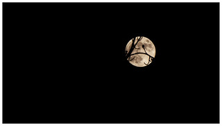 Happy Full Moon! | by samueldipaola