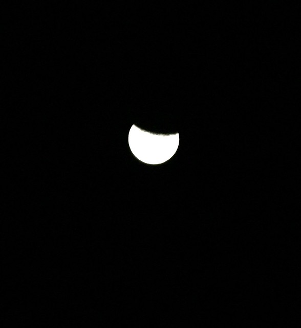 Lunar Eclipse 11-19-21 2:30 am