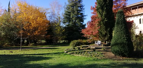 Lorategiak udazkenean by Derio Nekazaritza Eskola LHII, Derio Nekazaritza Eskolako lorategia udazkeneko eguzkipean.
---
Garden and park bench at Derio´s Far
