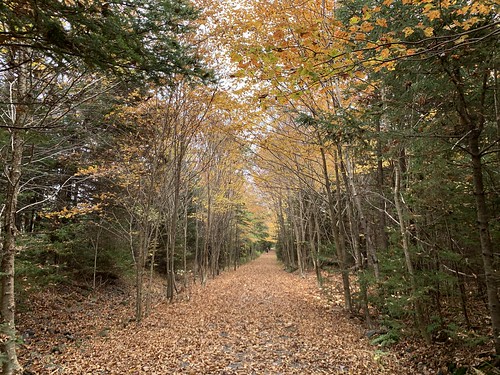 Old Lawrencetown Road Trail in Autumn