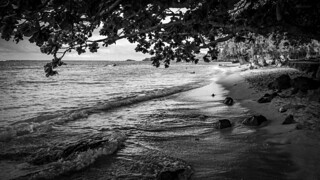 Thumbnail image for album (Kauai beach scene)